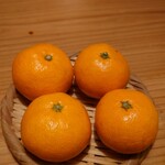 博多水たき さ和鳥 - 