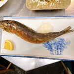 ニューロバタ カタナ食堂 - 大トロイワシ