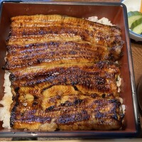 日本料理 梅林 -  日本料理 梅林 -