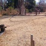 ラ ベントゥーラ - 