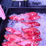 デイリーポート新鮮館 - 吉次もお安い