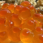 光る海 - 店主特製カニ飯&イクラ丼