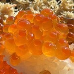 光る海 - 店主特製カニ飯&イクラ丼