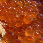 光る海 - 店主特製カニ飯&イクラ丼