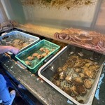 光る海 - 店内の生簀