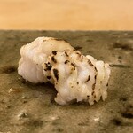 赤坂 鮨 ふくなが - 