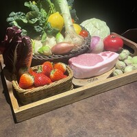 オッジ ダルマット 西麻布店 - 