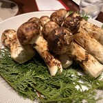 スガラボヴィー - 