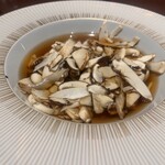 スガラボヴィー - 