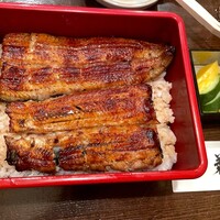 新宿 うなぎ菊川 - 