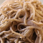 手打ち蕎麦 かね井 - 粗挽きそば アップ　(2014/06)