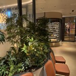 ベンジャミンステーキハウス - 