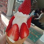 후쿠야마 소프트크림 안츠