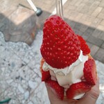 후쿠야마 소프트크림 안츠