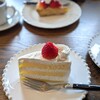 洋菓子店　アンドレディ - 