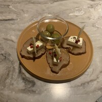 TOSA - 