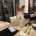 CARO FORESTA Karuizawa Jyarudino