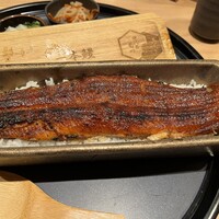 うなぎ四代目菊川 ヒルトンプラザウエスト大阪店 - 