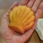 ブランカ - 手のひらサイズでした