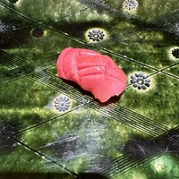 鮨ひばり - 