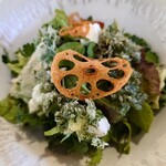 hape - 季節野菜、野草、乳漿