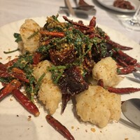 CINA New Modern Chinese - 