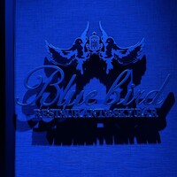 渋谷 Blue bird - 