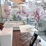 HAUTE COUTURE CAFE OMOTESANDO - 