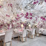 HAUTE COUTURE CAFE OMOTESANDO - 