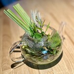 レスピラシオン - ⓰あんがとう農園の無農薬ハーブティー（11種）