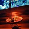 アクアリウムダイニング 新宿ライム