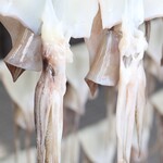 道の駅ふかうら かそせいか焼き村 - 天日干しされているいか