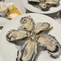 舵 - 