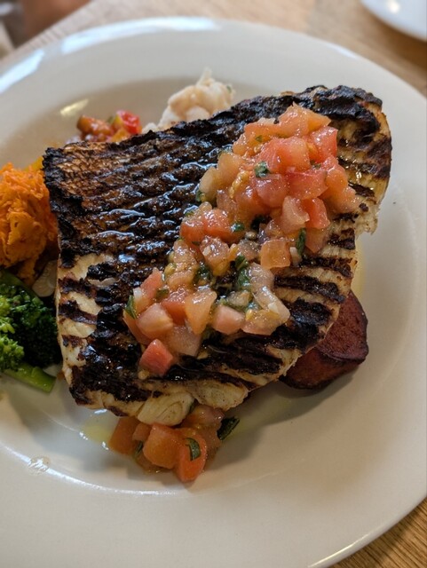 WITTE DE WITH photo 2