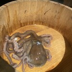 韓国料理 ナッチャン 三軒茶屋店 - 