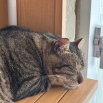 Prost Sausage & Kunsei Bar Okinawa Umikajiterasu Ten - 