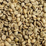 山羊コーヒー - マスターがお店入口付近で見せてくれた焙煎前の生コーヒー豆②