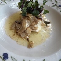 vino italiano zizi cucina - 
