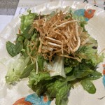 奈良 - 鶏肉のサラダ