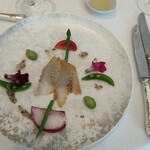 ベラ・ルーサ - 