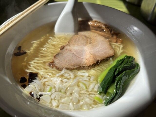 Indian Ikegami Ten photo 5