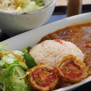 さぬき・むさし野うどん水織_1