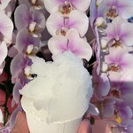 GERATERIA DI PREGHIERA - 