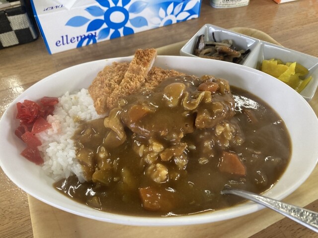 食事処 やすみや - 川渡温泉（麺類）の写真