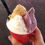 フォレッティ・ジェルッタ - ビターキャラメル、ブルーベリーヨーグルト、杏仁