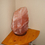 麺肴 今日から - 今日から　店内　岩塩