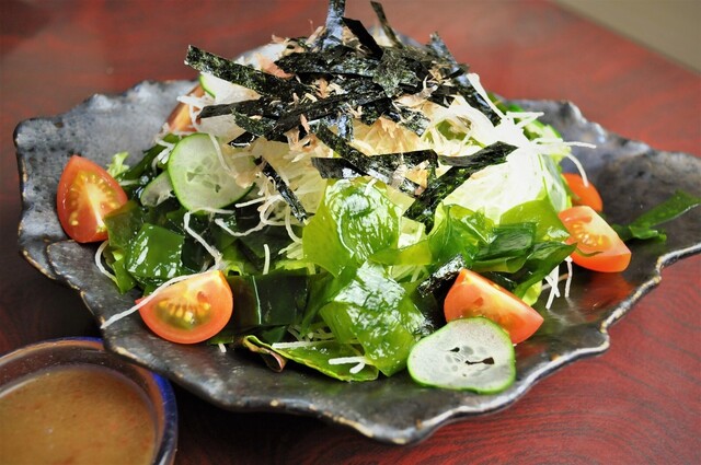 ヤマダヤ4点 YAMASHITA（ヤマシタ） LPダルマクリップ 4N 80〜120号用