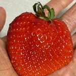 苺のマルシェ 所沢北田農園 - 