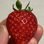 苺のマルシェ 所沢北田農園 - 