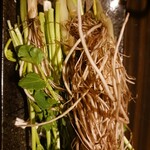 仙台名物 牛タン せり鍋 全席個室居酒屋 やぐら - 